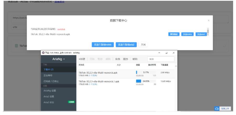 百度网盘不限速解析下载工具 配合Aria2